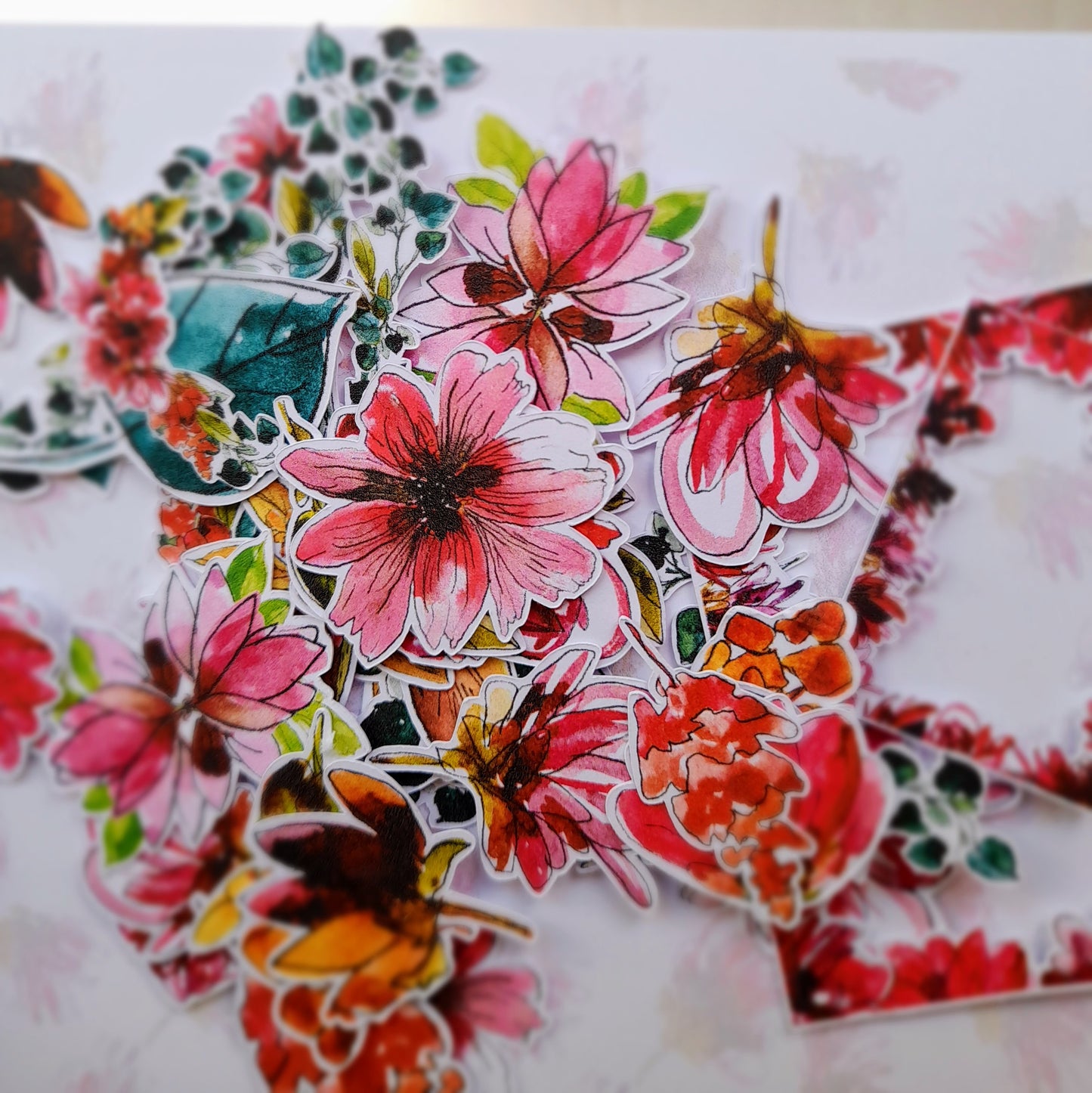 Flossiphy Die cuts