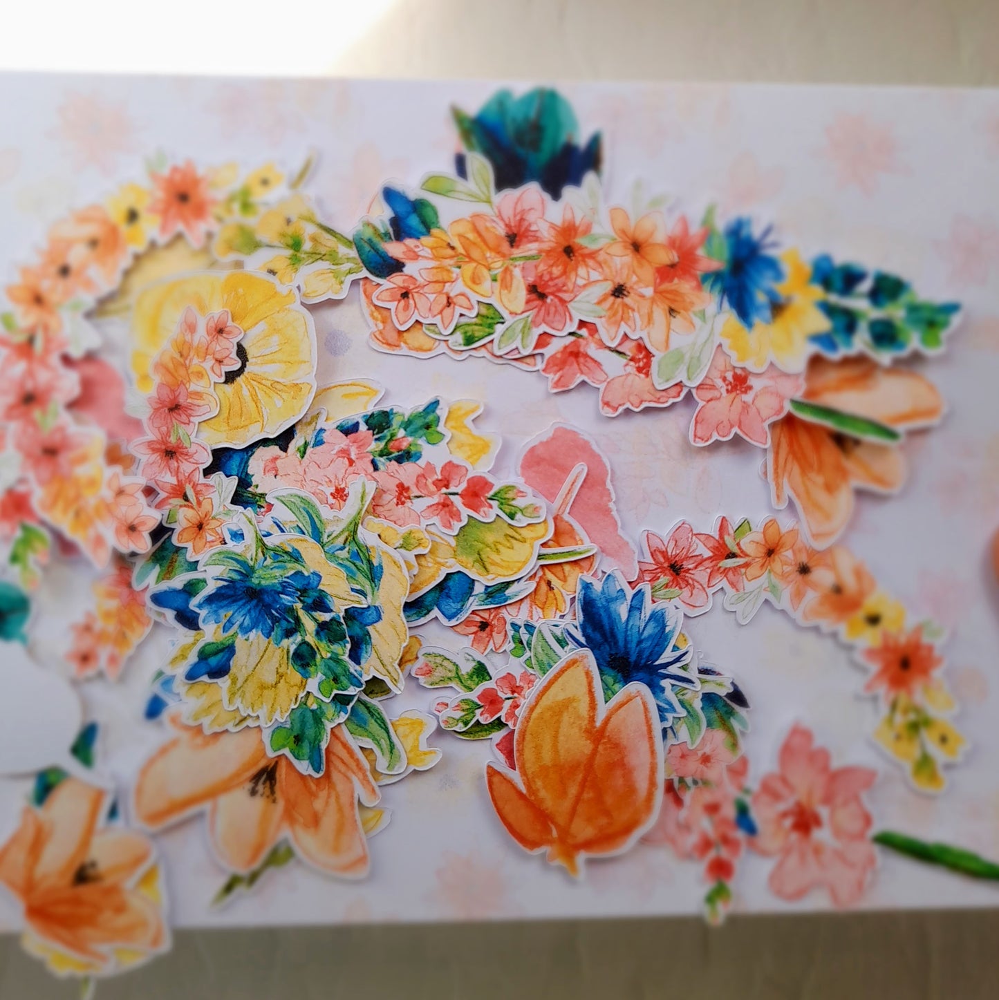 Flossiphy Die cuts