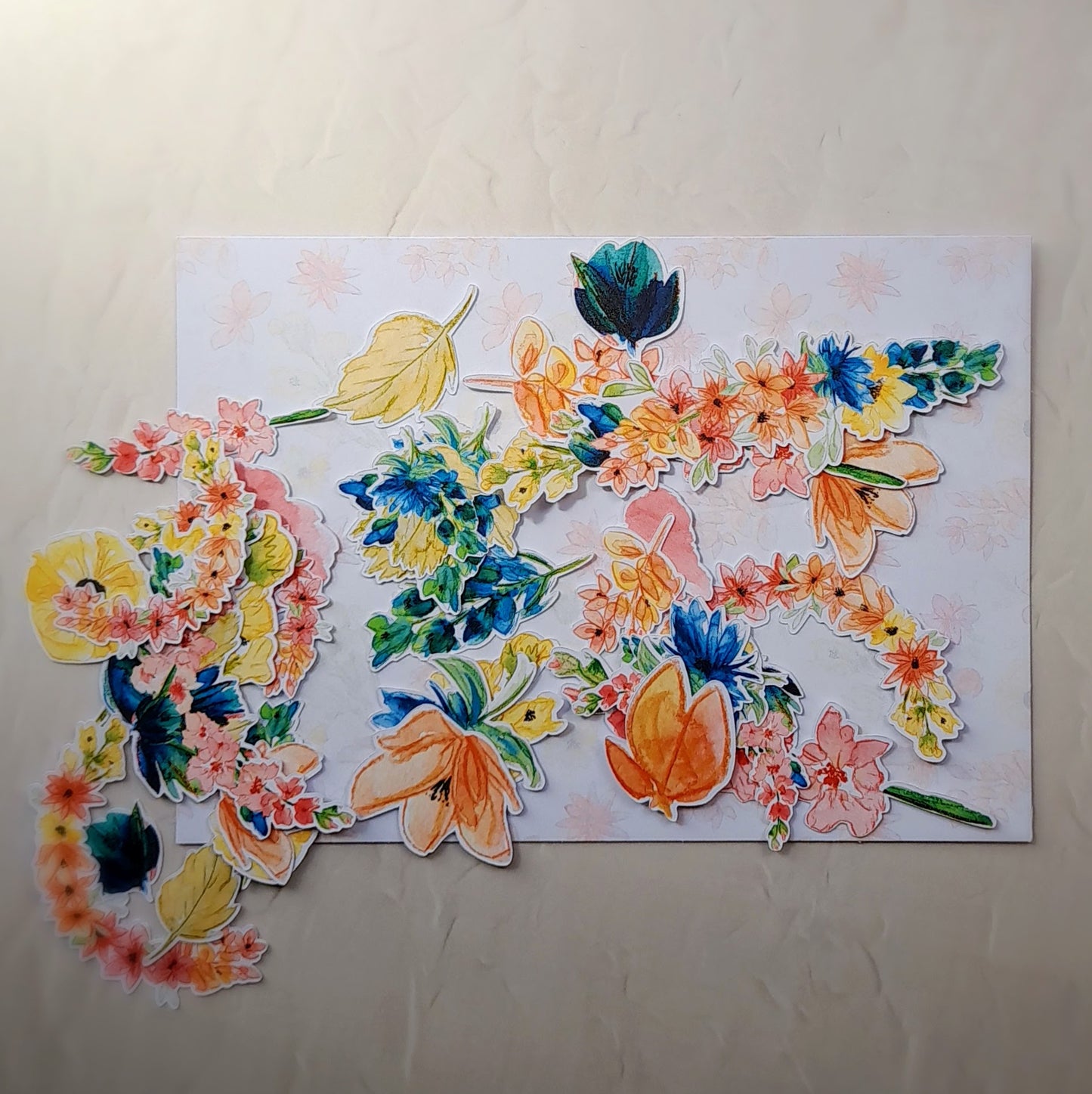 Flossiphy Die cuts
