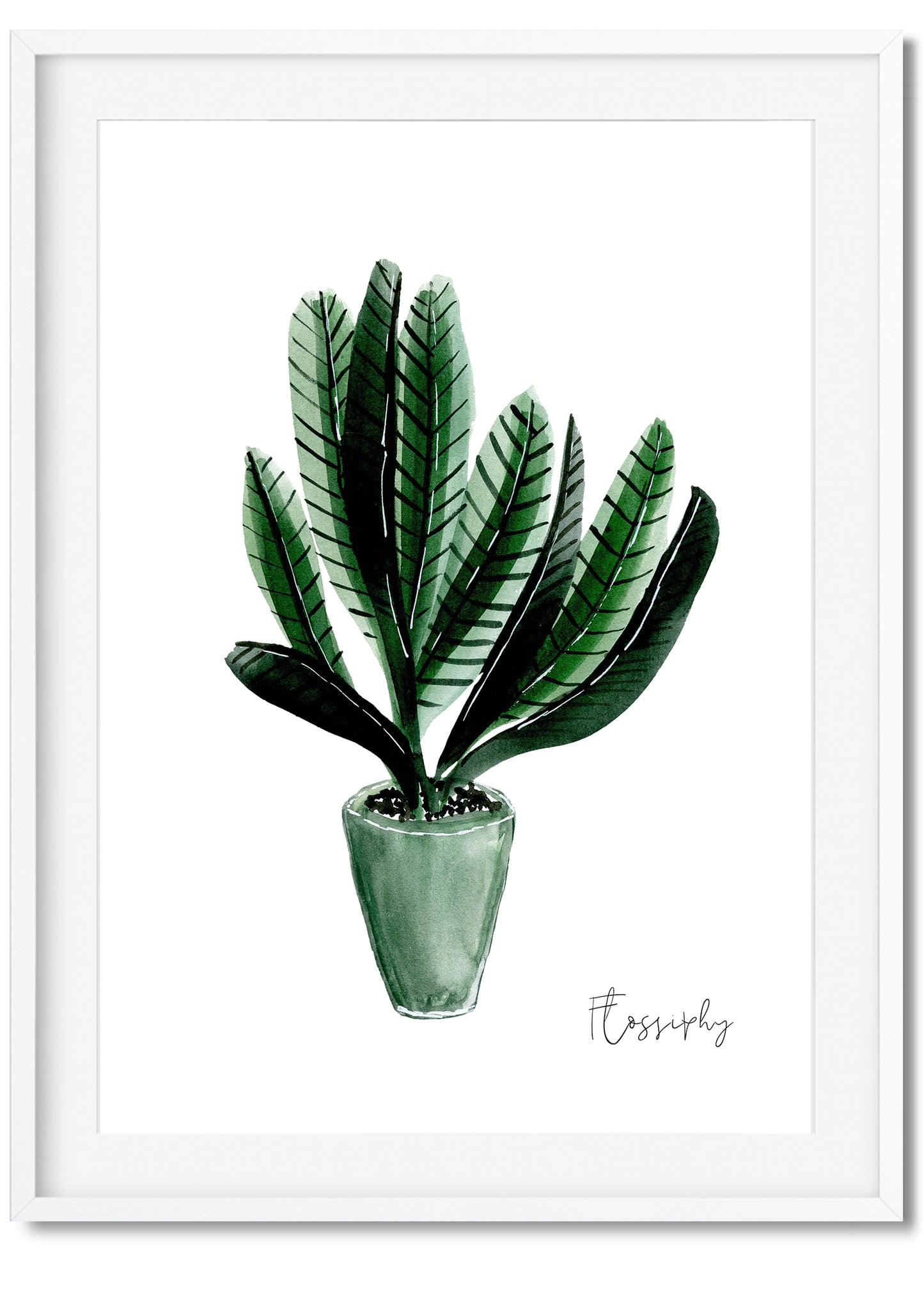 House Plants