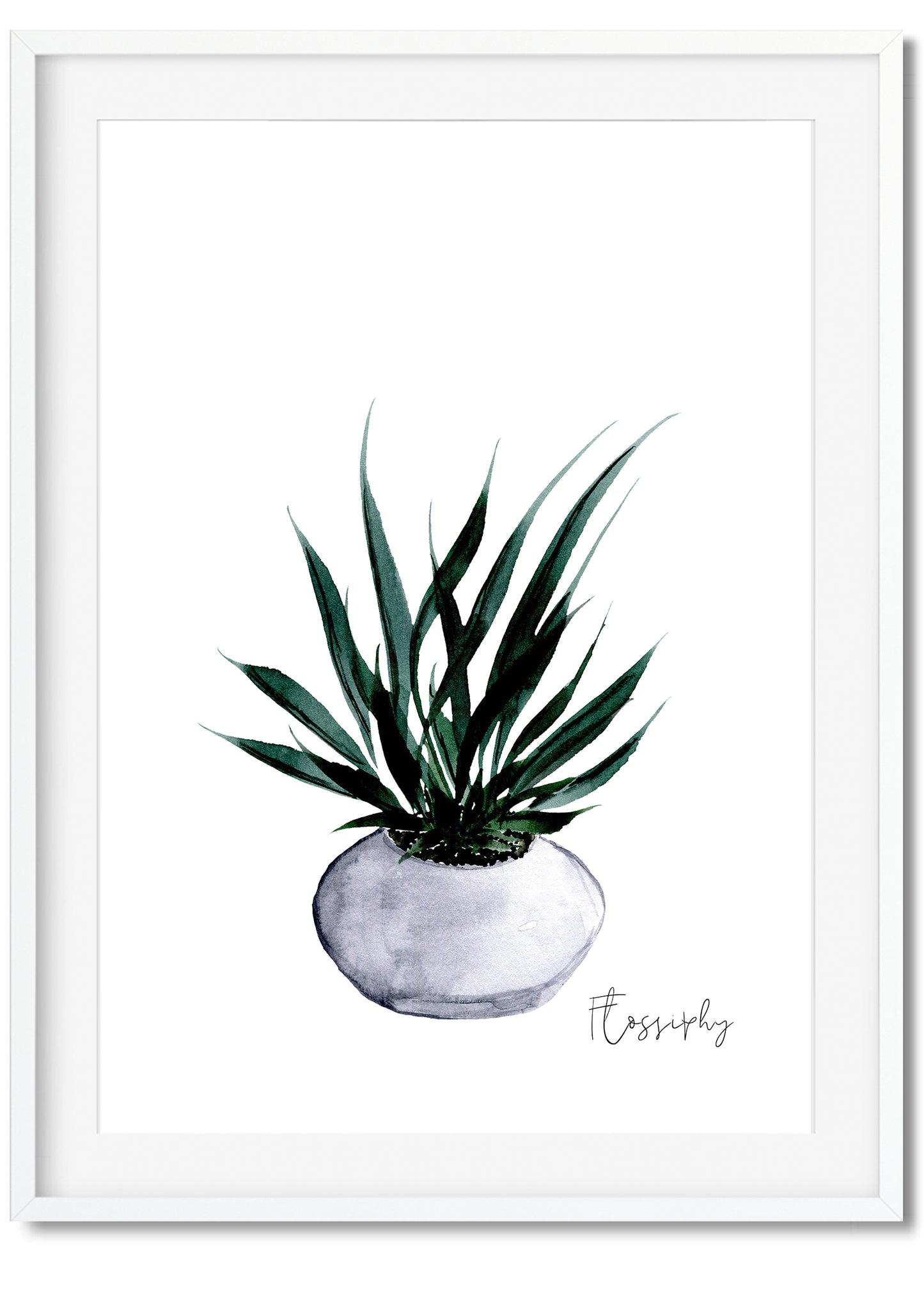 House Plants
