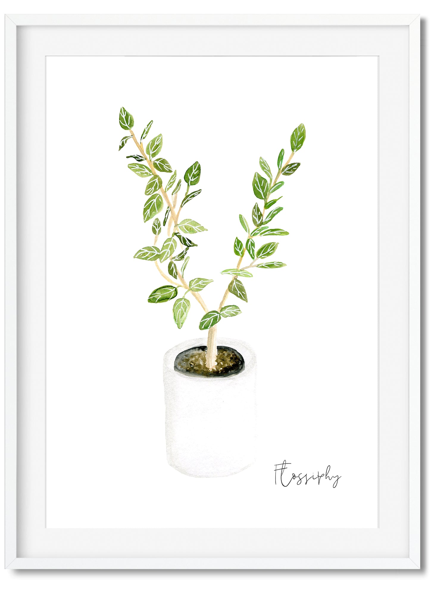 House Plants