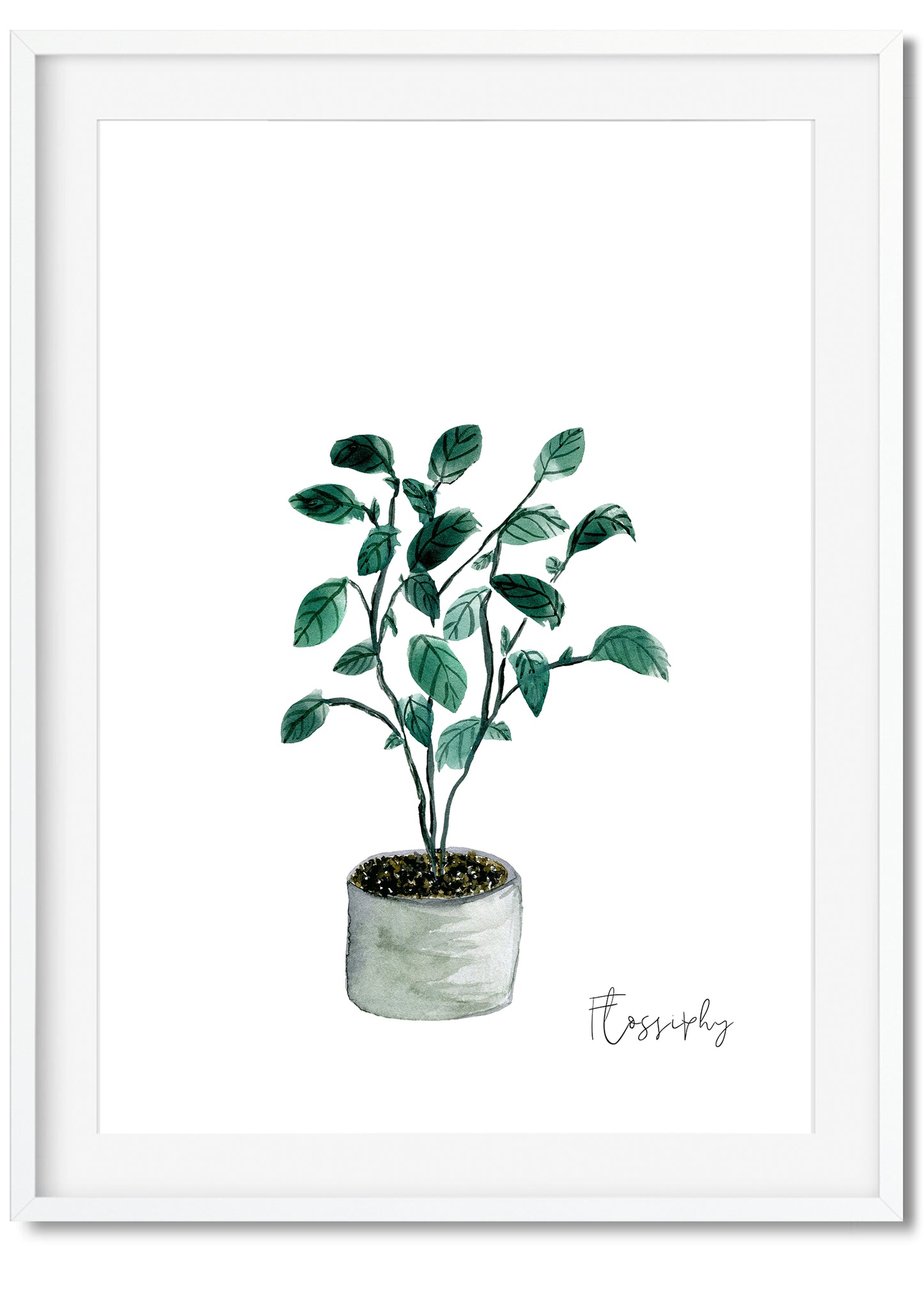 House Plants