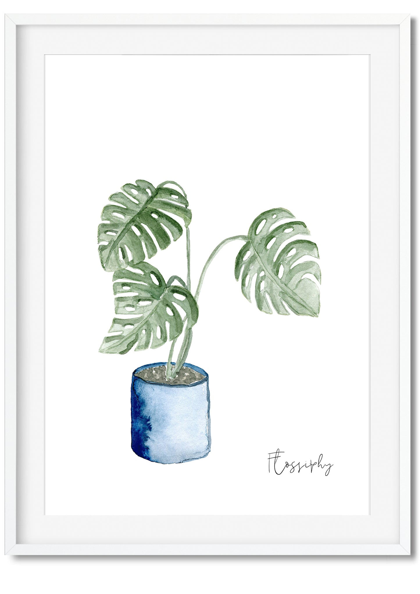 House Plants