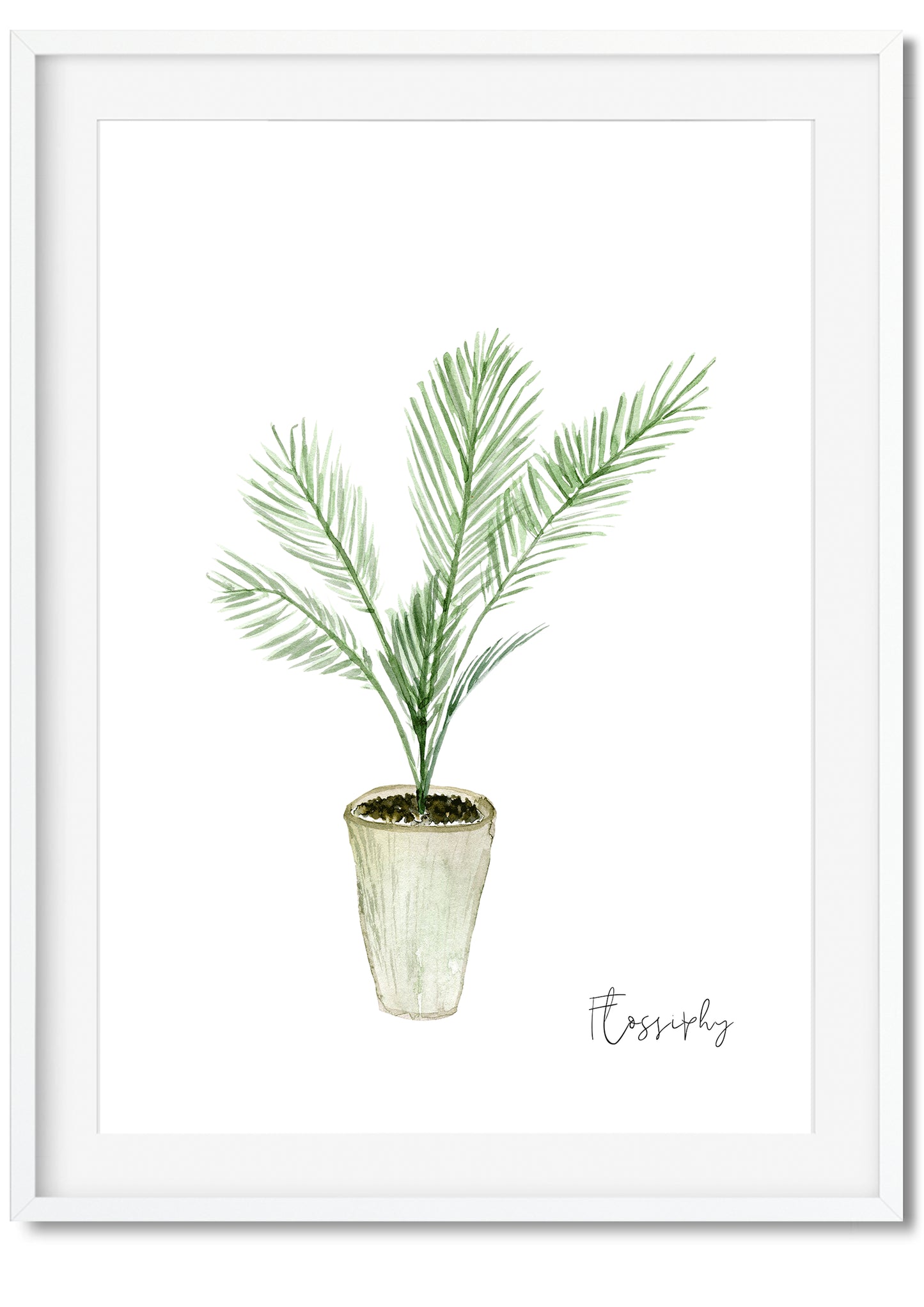 House Plants