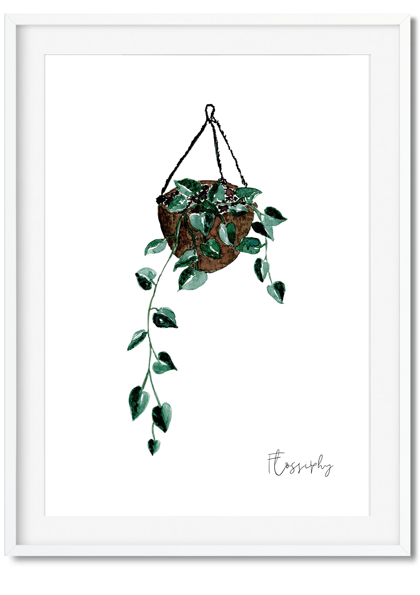 House Plants