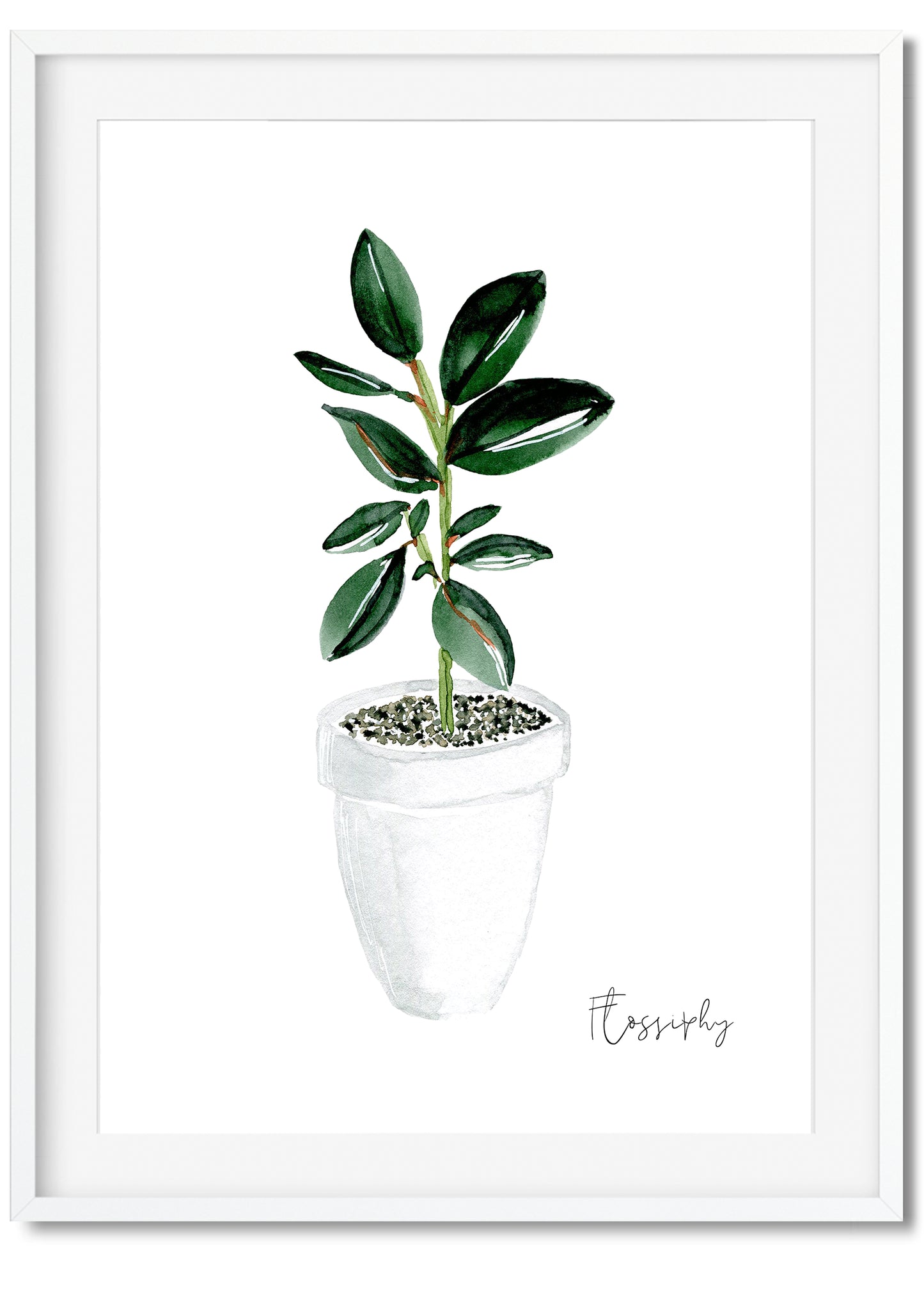 House Plants