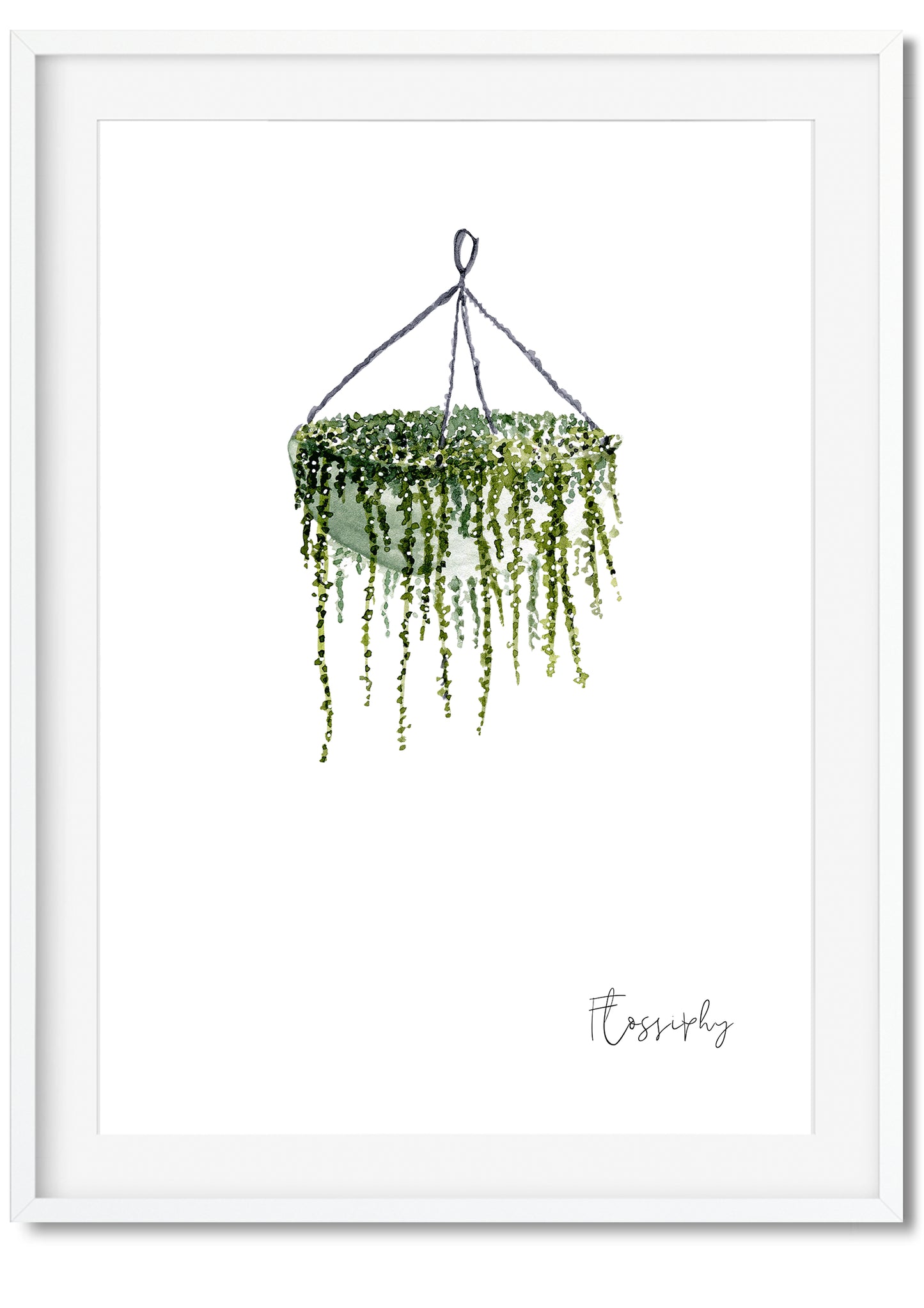 House Plants