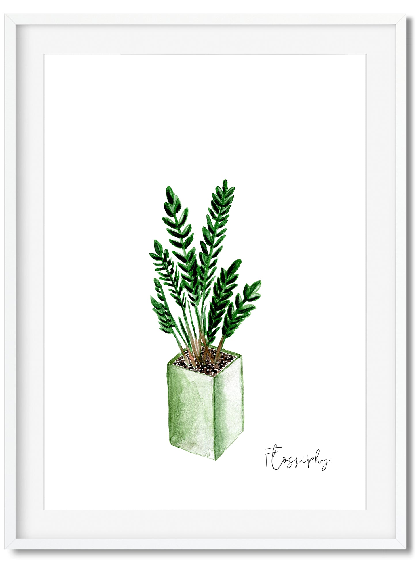 House Plants