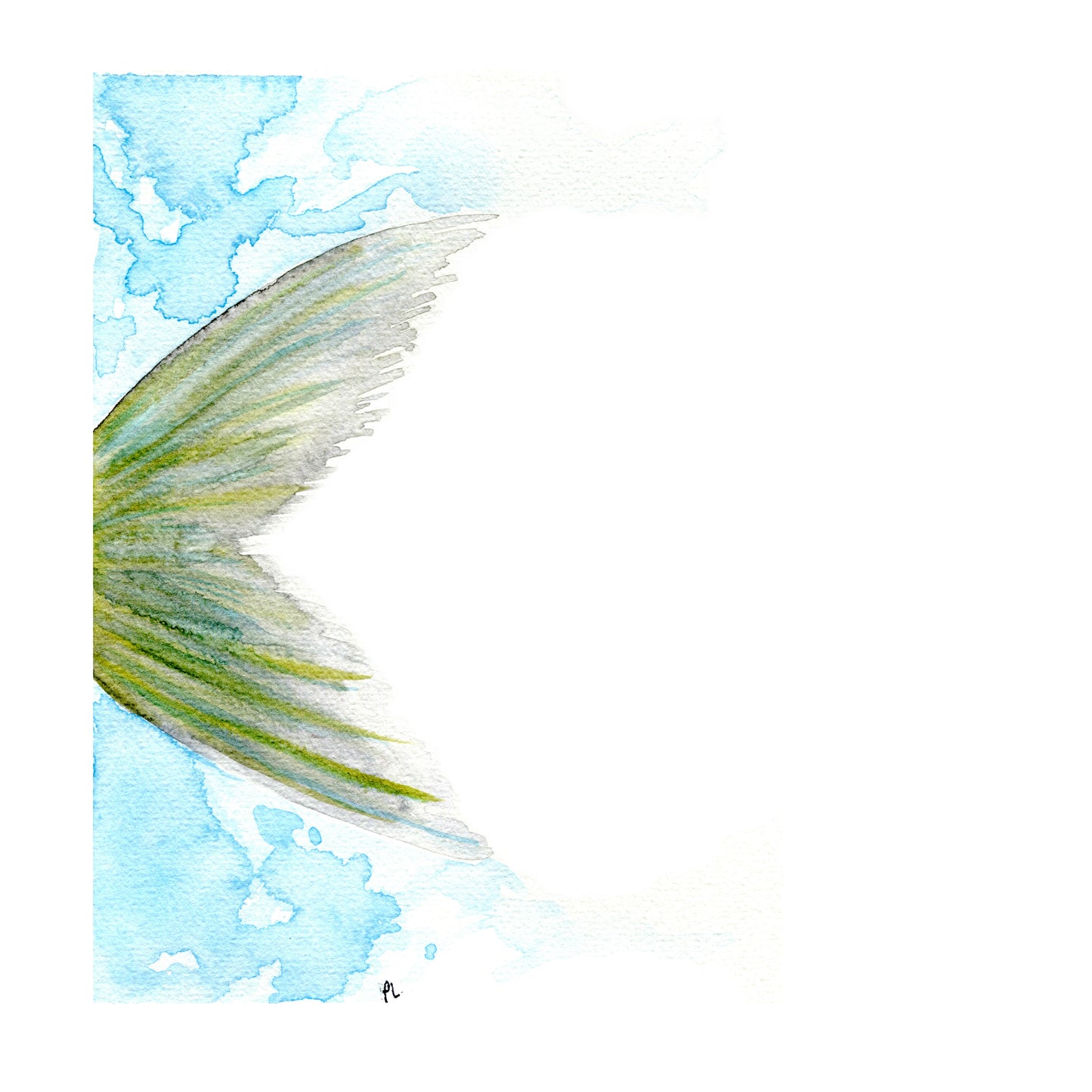 Mackerel Tail