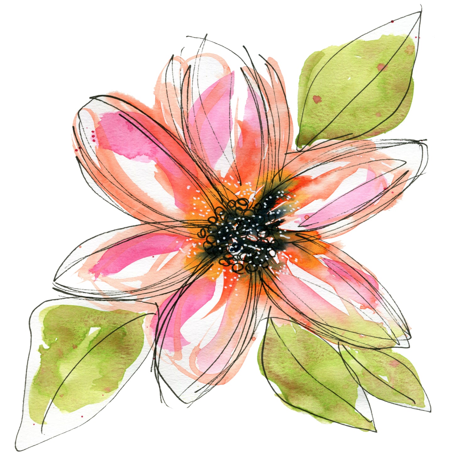 Orange Clematis