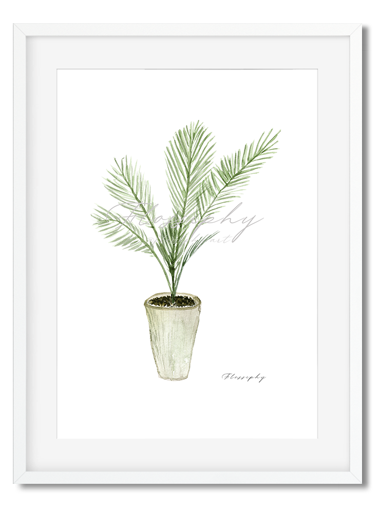 Palm