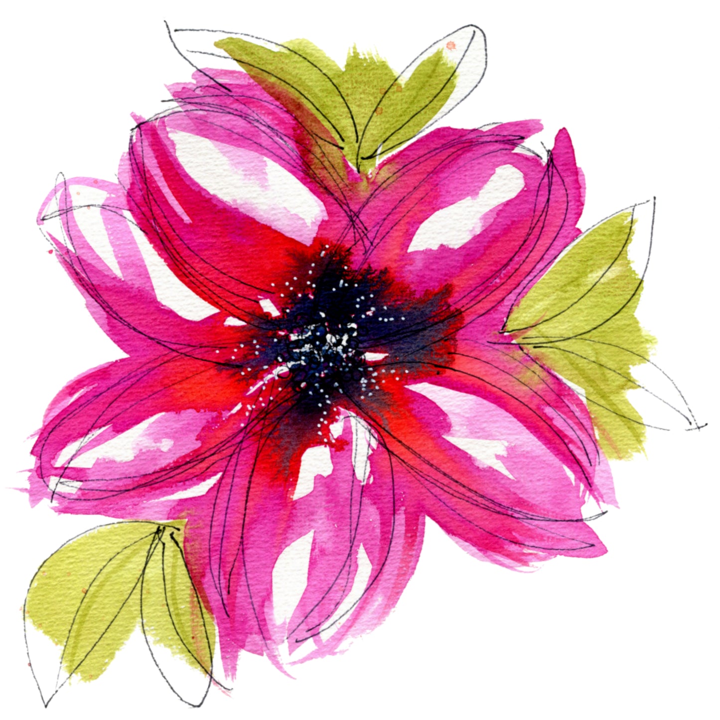 Pink Clematis