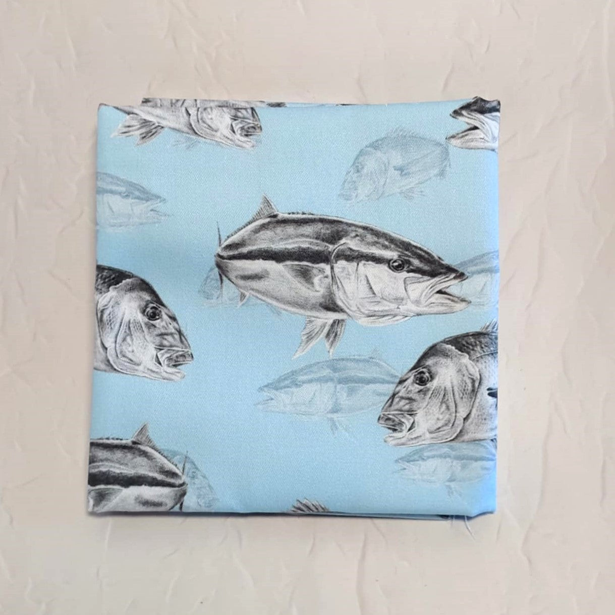 Fish Art NZ -Generous quarters